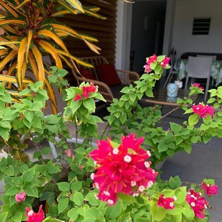 Le Tropical Appartement 1 Ou 2 Chambres Les Anses-d'Arlets Luaran gambar